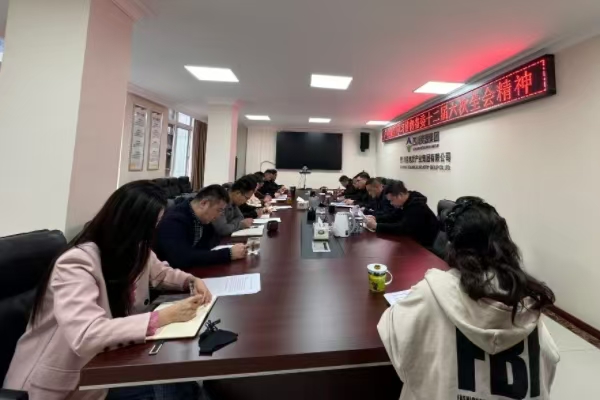 產(chǎn)業(yè)集團(tuán)專題傳達(dá)學(xué)習(xí)省委十二屆六次全會精神